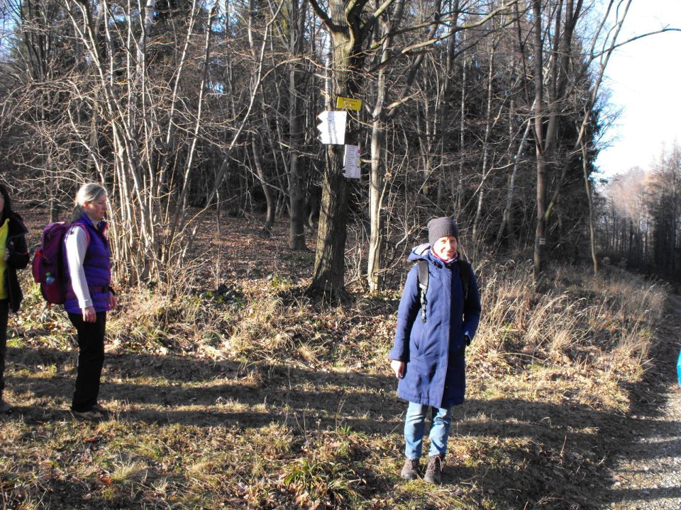 39. Rajd Wzgórz Strzelińskich s002 - PTTK Strzelin