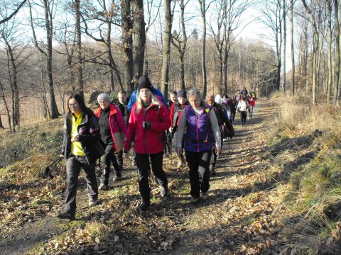 39. Rajd Wzgórz Strzelińskich s63 - PTTK Strzelin
