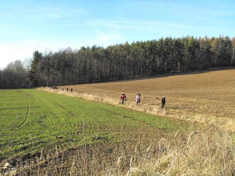 39. Rajd Wzgórz Strzelińskich s65 - PTTK Strzelin