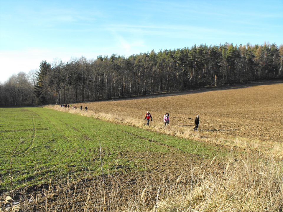 39. Rajd Wzgórz Strzelińskich s002 - PTTK Strzelin