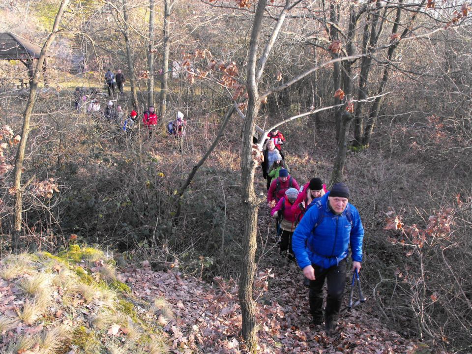 39. Rajd Wzgórz Strzelińskich s002 - PTTK Strzelin