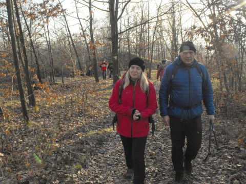 39. Rajd Wzgórz Strzelińskich s93 - PTTK Strzelin