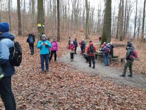 41. Rajd Wzgórz Strzelińskich s14 - PTTK Strzelin