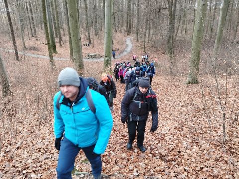 41. Rajd Wzgórz Strzelińskich s19 - PTTK Strzelin