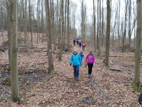 41. Rajd Wzgórz Strzelińskich s22 - PTTK Strzelin