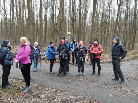 41. Rajd Wzgórz Strzelińskich s24 - PTTK Strzelin