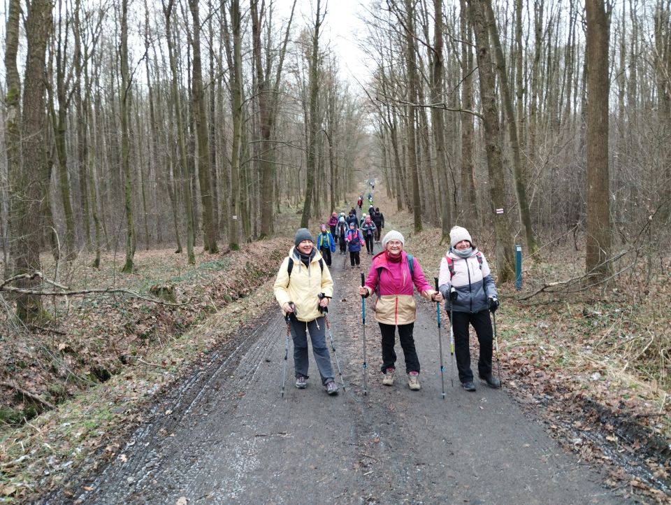 41. Rajd Wzgórz Strzelińskich s002 - PTTK Strzelin