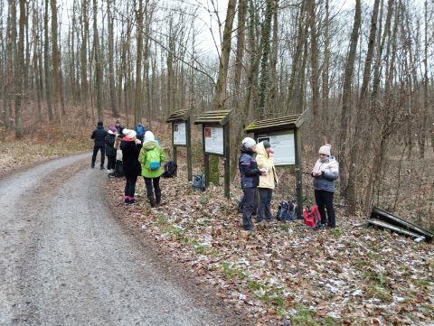 41. Rajd Wzgórz Strzelińskich s28 - PTTK Strzelin