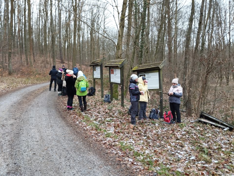 41. Rajd Wzgórz Strzelińskich s002 - PTTK Strzelin