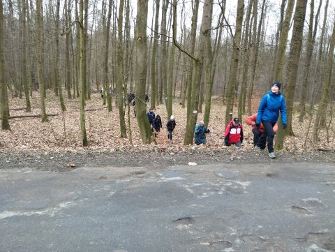 41. Rajd Wzgórz Strzelińskich s33 - PTTK Strzelin