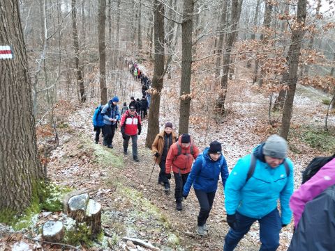 41. Rajd Wzgórz Strzelińskich s37 - PTTK Strzelin