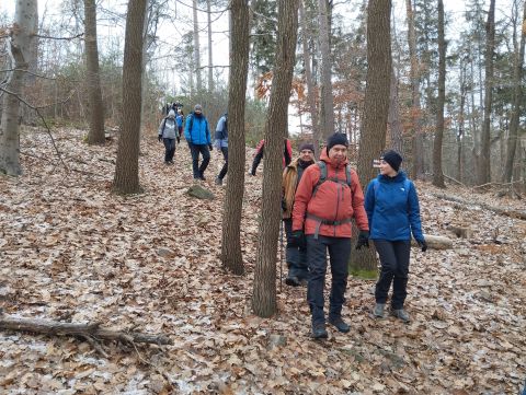 41. Rajd Wzgórz Strzelińskich s38 - PTTK Strzelin