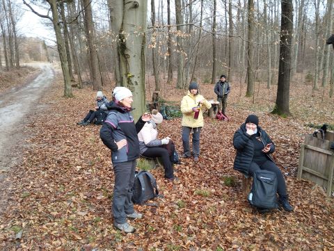 41. Rajd Wzgórz Strzelińskich s56 - PTTK Strzelin