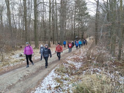 41. Rajd Wzgórz Strzelińskich s57 - PTTK Strzelin