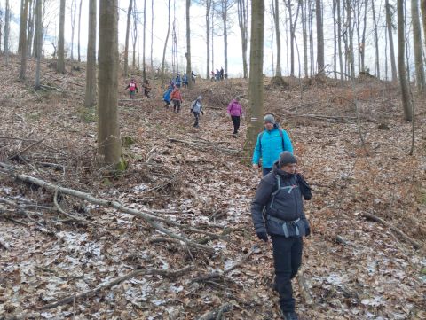 41. Rajd Wzgórz Strzelińskich s58 - PTTK Strzelin