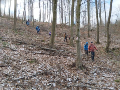 41. Rajd Wzgórz Strzelińskich s59 - PTTK Strzelin