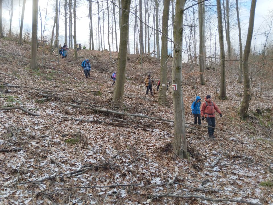 41. Rajd Wzgórz Strzelińskich s002 - PTTK Strzelin