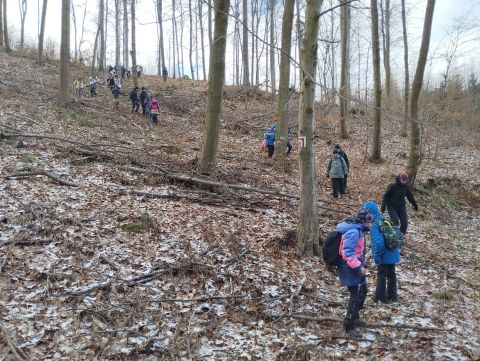 41. Rajd Wzgórz Strzelińskich s60 - PTTK Strzelin