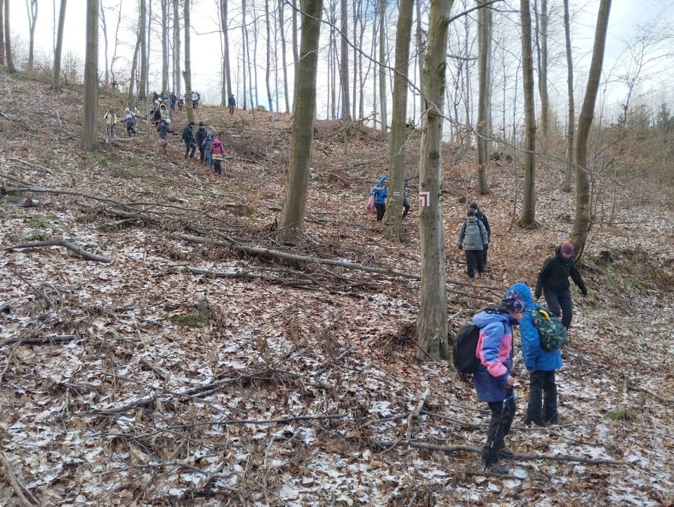 41. Rajd Wzgórz Strzelińskich s002 - PTTK Strzelin