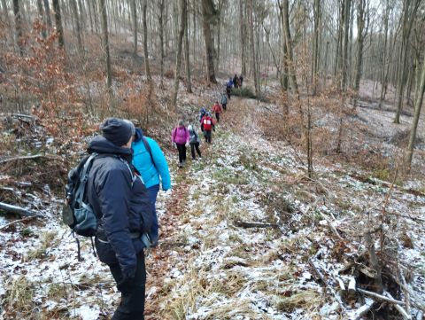 41. Rajd Wzgórz Strzelińskich s61 - PTTK Strzelin