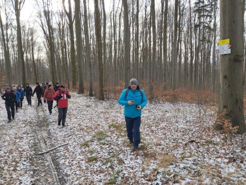 41. Rajd Wzgórz Strzelińskich s62 - PTTK Strzelin