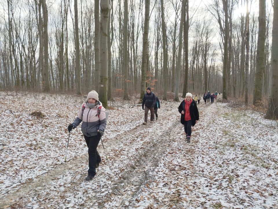 41. Rajd Wzgórz Strzelińskich s002 - PTTK Strzelin