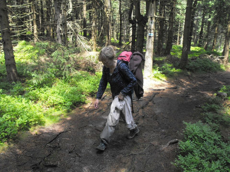 Wycieczka w Rudawy Janowickie s002 - PTTK Strzelin