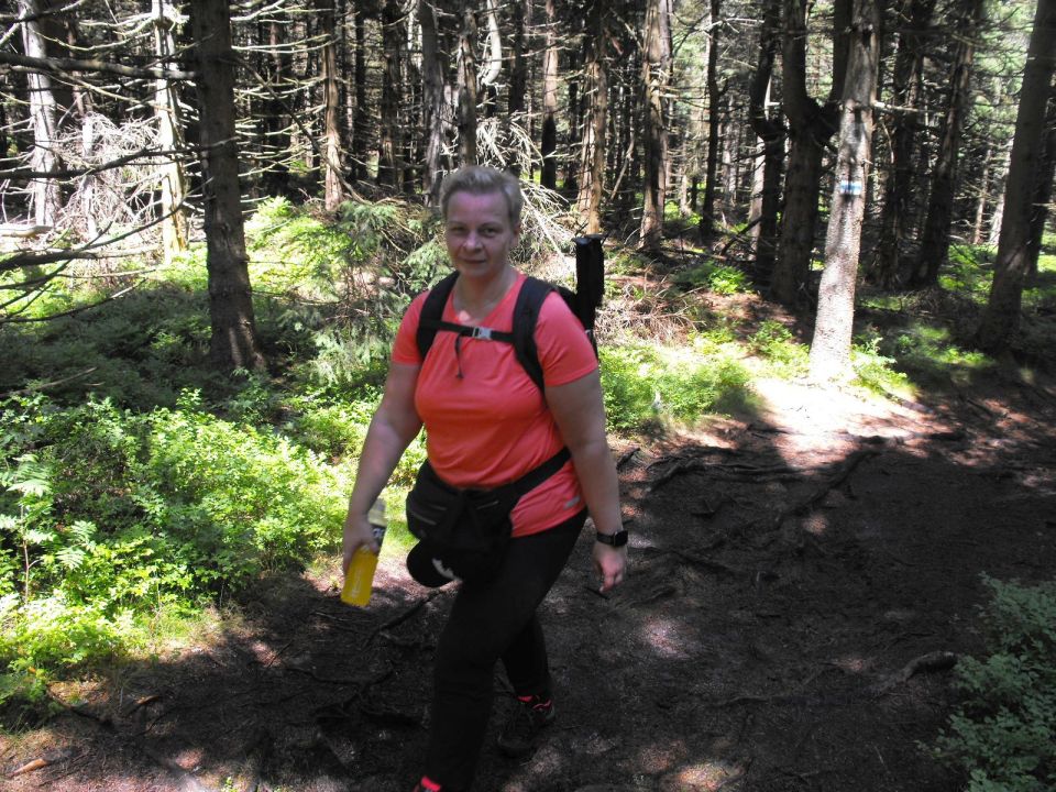 Wycieczka w Rudawy Janowickie s002 - PTTK Strzelin