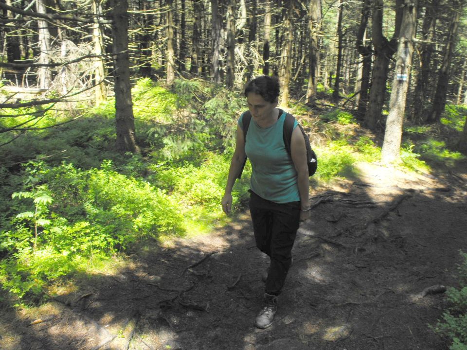 Wycieczka w Rudawy Janowickie s002 - PTTK Strzelin