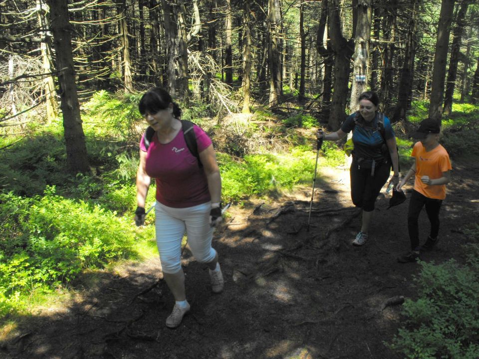 Wycieczka w Rudawy Janowickie s002 - PTTK Strzelin