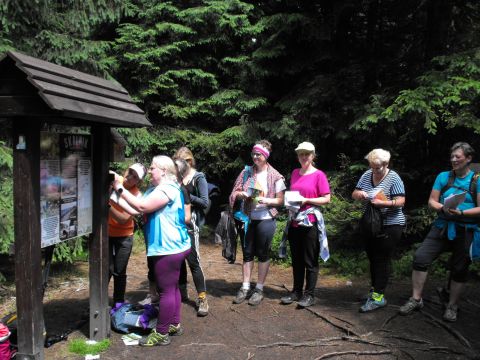 Wycieczka w Rudawy Janowickie s66 - PTTK Strzelin