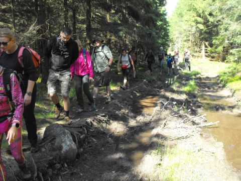 Wycieczka w Rudawy Janowickie s150 - PTTK Strzelin