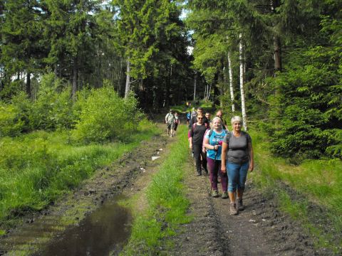 Wycieczka w Rudawy Janowickie s151 - PTTK Strzelin