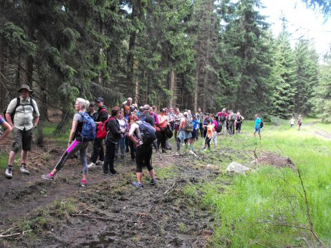 Wycieczka w Rudawy Janowickie s154 - PTTK Strzelin