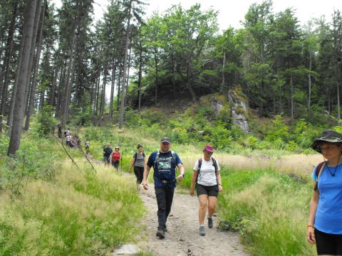 Wycieczka w Rudawy Janowickie s62 - PTTK Strzelin