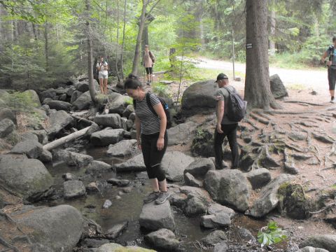 Wycieczka w Rudawy Janowickie s68 - PTTK Strzelin