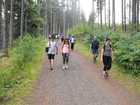 Wycieczka w Rudawy Janowickie s79 - PTTK Strzelin