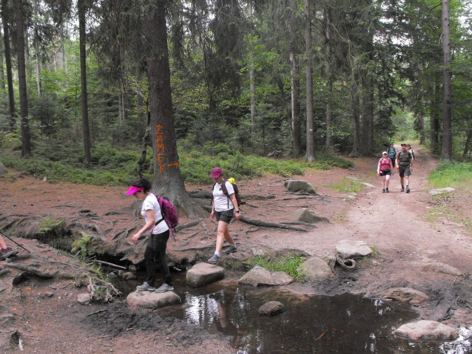 Wycieczka w Rudawy Janowickie s002 - PTTK Strzelin