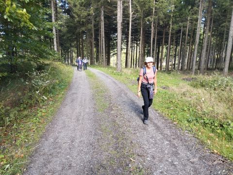 Wycieczka w Rudawy Janowickie s16 - PTTK Strzelin