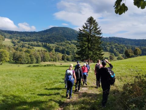 Wycieczka w Rudawy Janowickie s61 - PTTK Strzelin