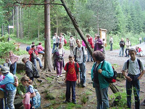 Rudawy Janowickie - potok Jan�wka