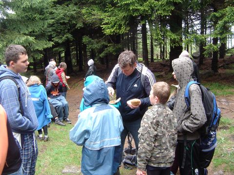 Rudawy Janowickie - Skalnik