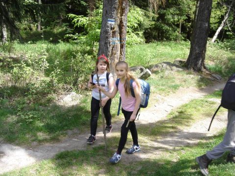 Rudawy Janowickie - Prze��czka s021 - PTTK Strzelin