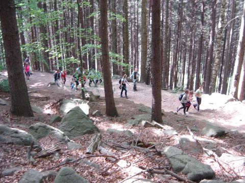 Rudawy Janowickie - zdobywanie Sokolika s026 - PTTK Strzelin