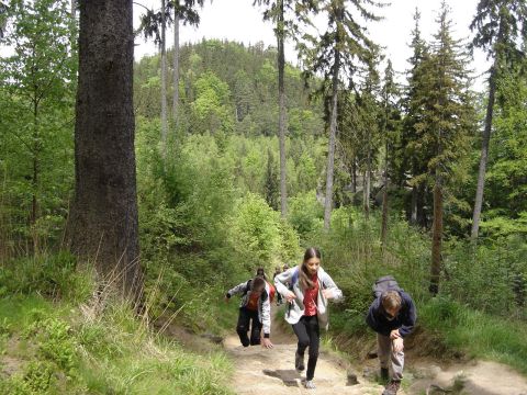 Rudawy Janowickie - w drodze na Krzy�n� G�r� s051 - PTTK Strzelin