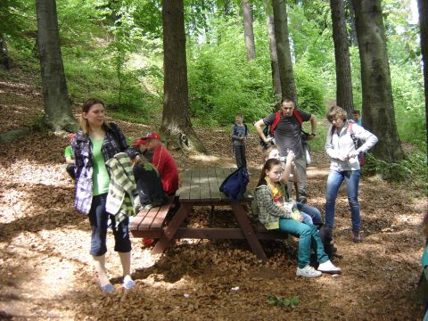 Rudawy Janowickie - pod Krzy�n� G�r� s069 - PTTK Strzelin