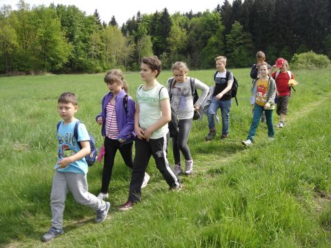 Rudawy Janowickie - zej�cie do Trzci�ska s095 - PTTK Strzelin