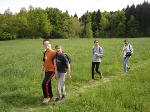 Rudawy Janowickie - zej�cie do Trzci�ska s101 - PTTK Strzelin