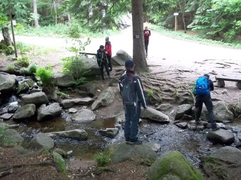 Wycieczka w Rudawy Janowickie s41 - PTTK Strzelin