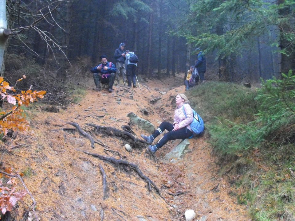 Wycieczka w Rudawy Janowickie s002 - PTTK Strzelin